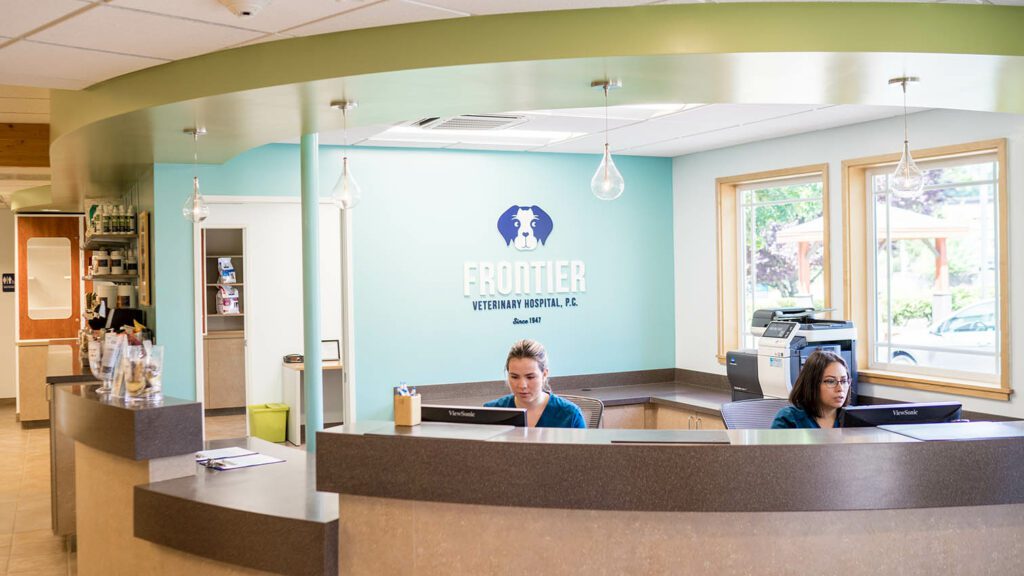 Portland animal hospital construction image 2