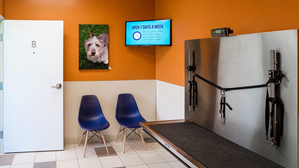 Portland animal hospital construction image 5