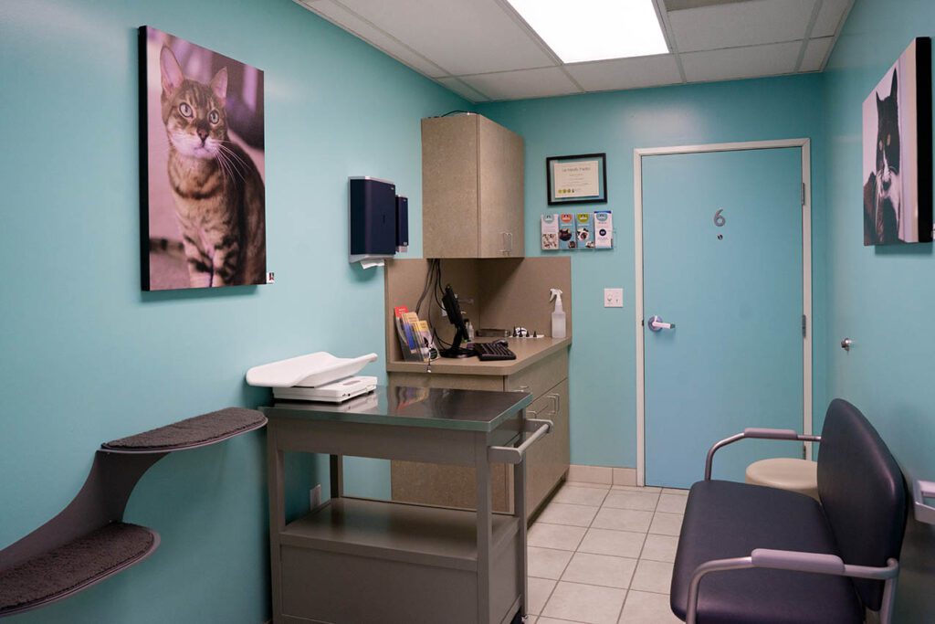 Portland animal hospital construction image 7